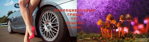 экстази Алексин