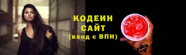 прущие грибы Сосновый Бор