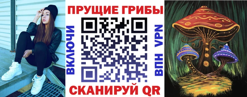 Галлюциногенные грибы Cubensis  Комсомольск 
